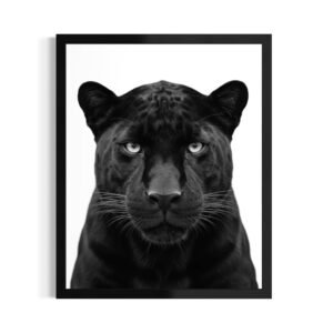 Black Panther Art