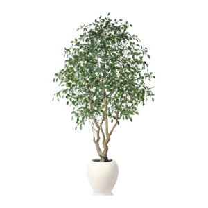 Artificial Ficus Tree